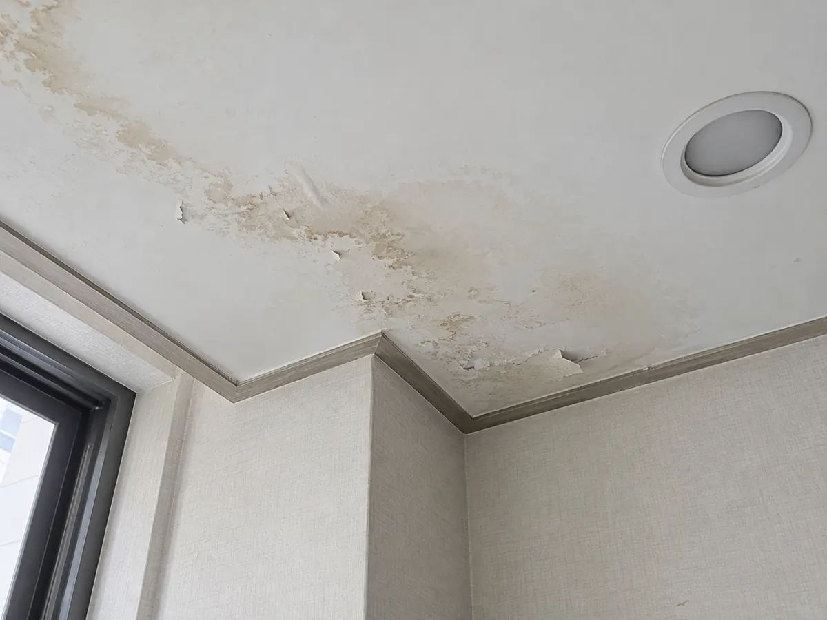 누수로 얼룩과 페인트 들뜸이 생긴 상가 천장